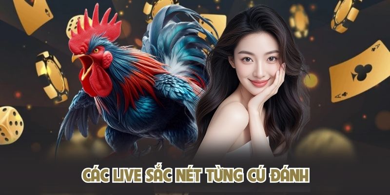 Các live sắc nét từng cú đánh