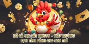 Đá Gà Cựa Sắt King88 – Đấu Trường Kịch Tính Dành Cho Cao Thủ